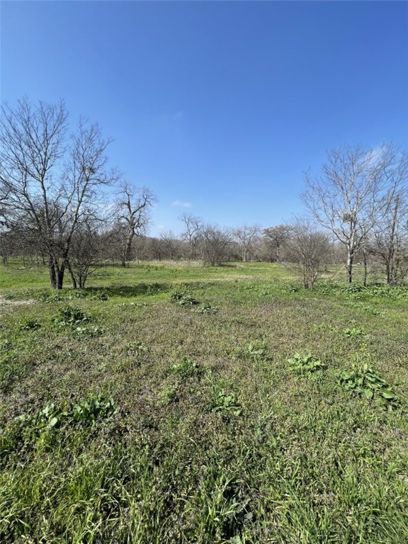 301 Fm 1979, Martindale, Texas image 35