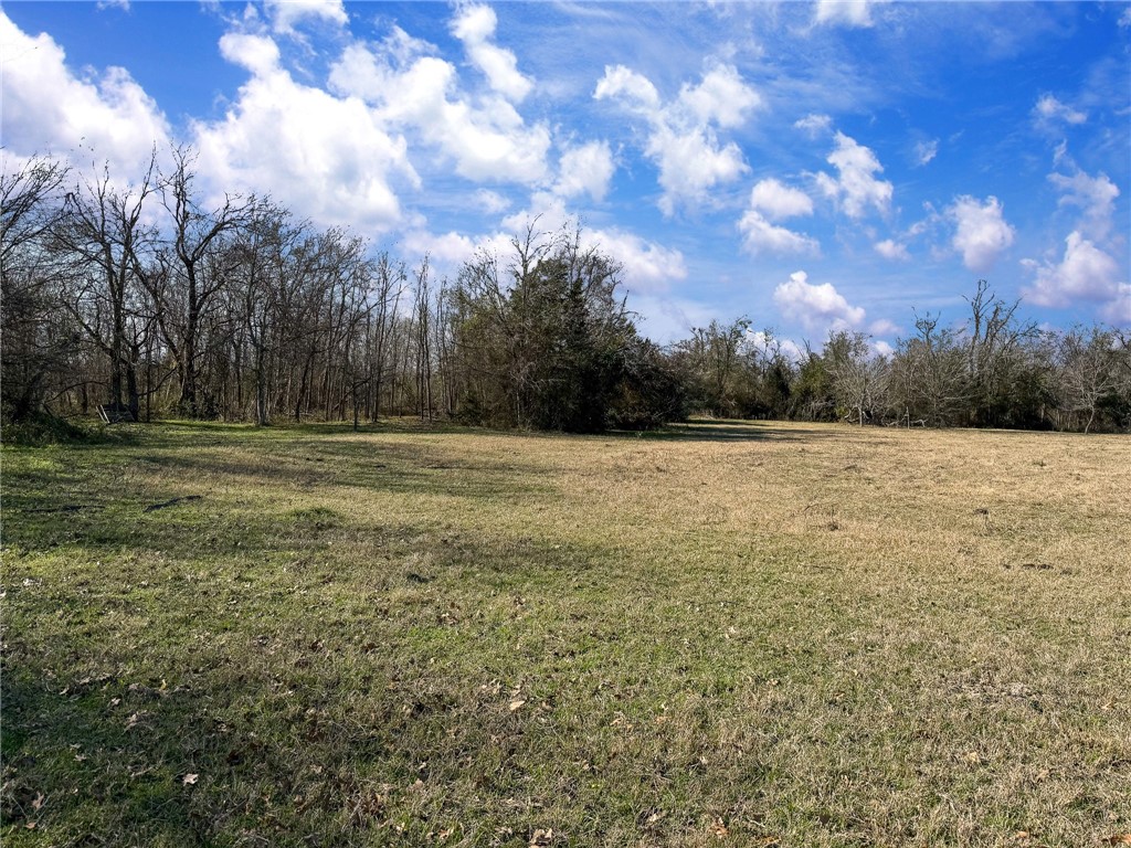 20+/- Acres N Hwy 36 Highway, Milano, Texas image 11