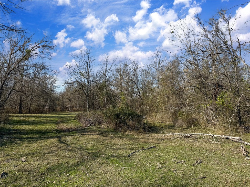 20+/- Acres N Hwy 36 Highway, Milano, Texas image 12