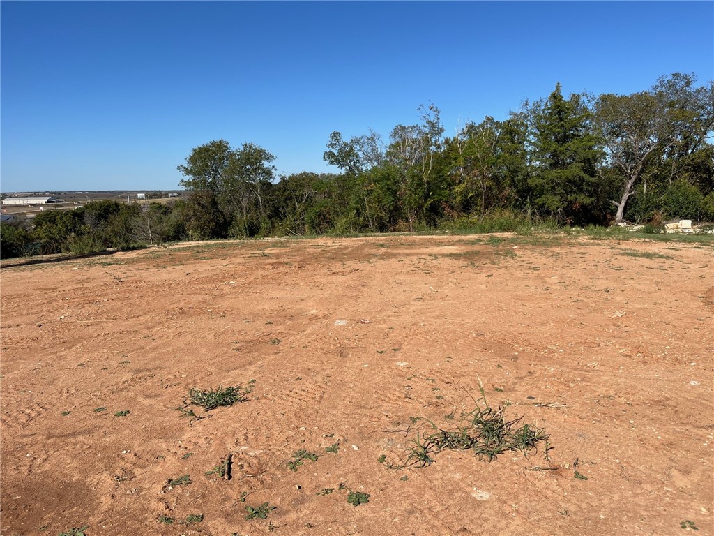 TBD Lot 11 N College Street, West, Texas image 7