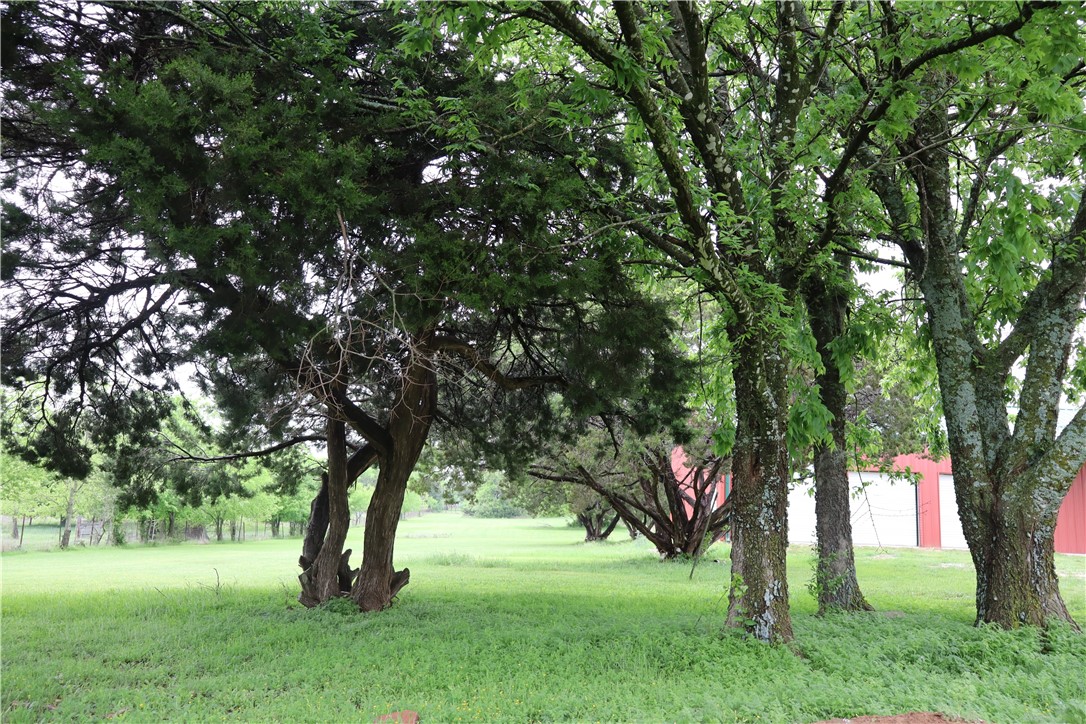 326 Cr 3590, China Spring, Texas image 42