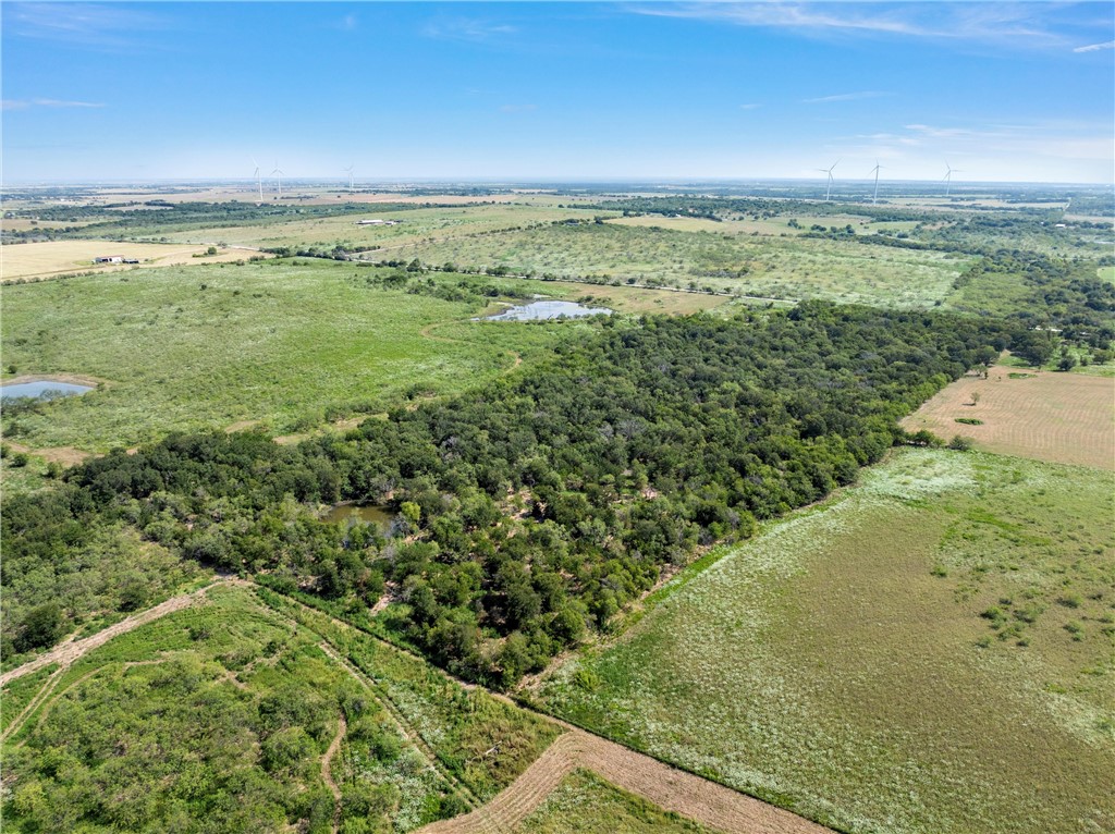 295 Hcr 3240, Mount Calm, Texas image 6