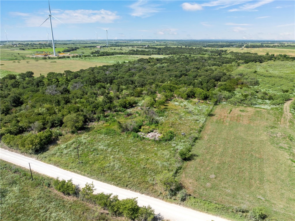 295 Hcr 3240, Mount Calm, Texas image 10