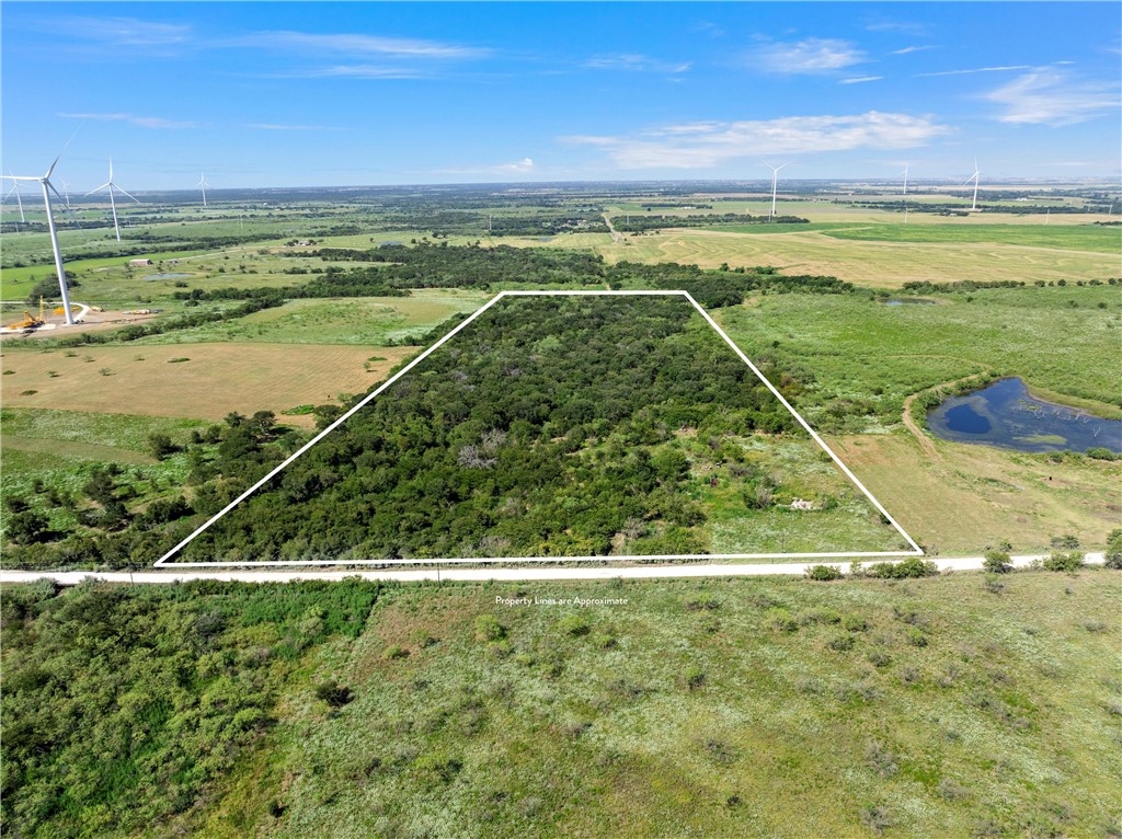 295 Hcr 3240, Mount Calm, Texas image 4