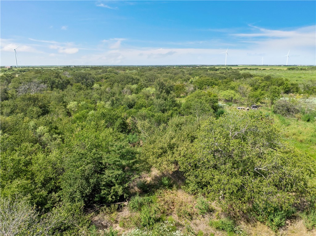 295 Hcr 3240, Mount Calm, Texas image 11