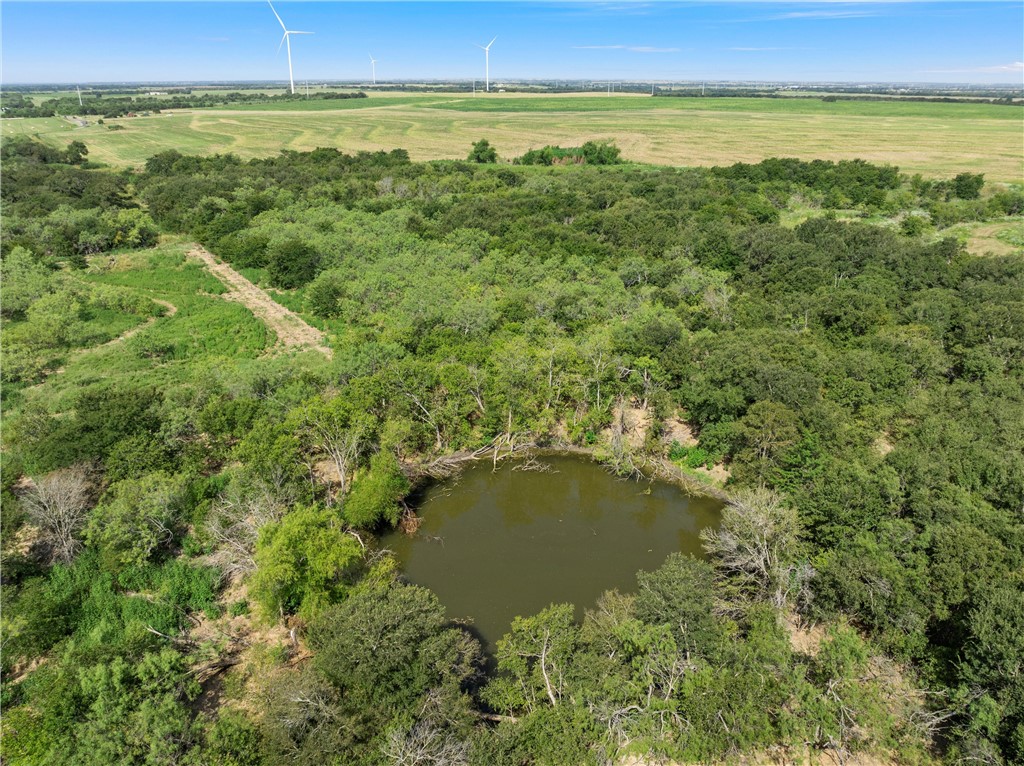 295 Hcr 3240, Mount Calm, Texas image 8