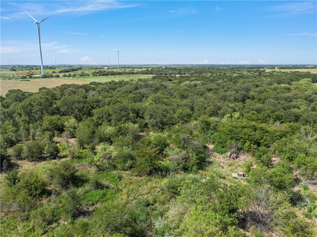 295 Hcr 3240, Mount Calm, Texas image 12