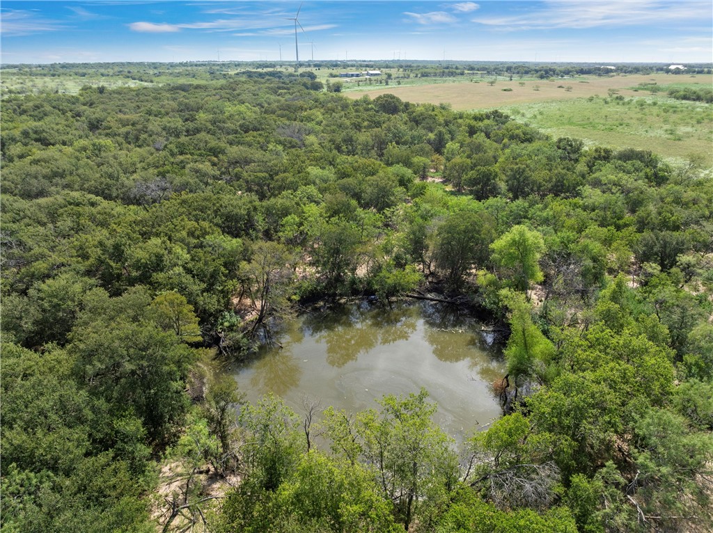 295 Hcr 3240, Mount Calm, Texas image 3