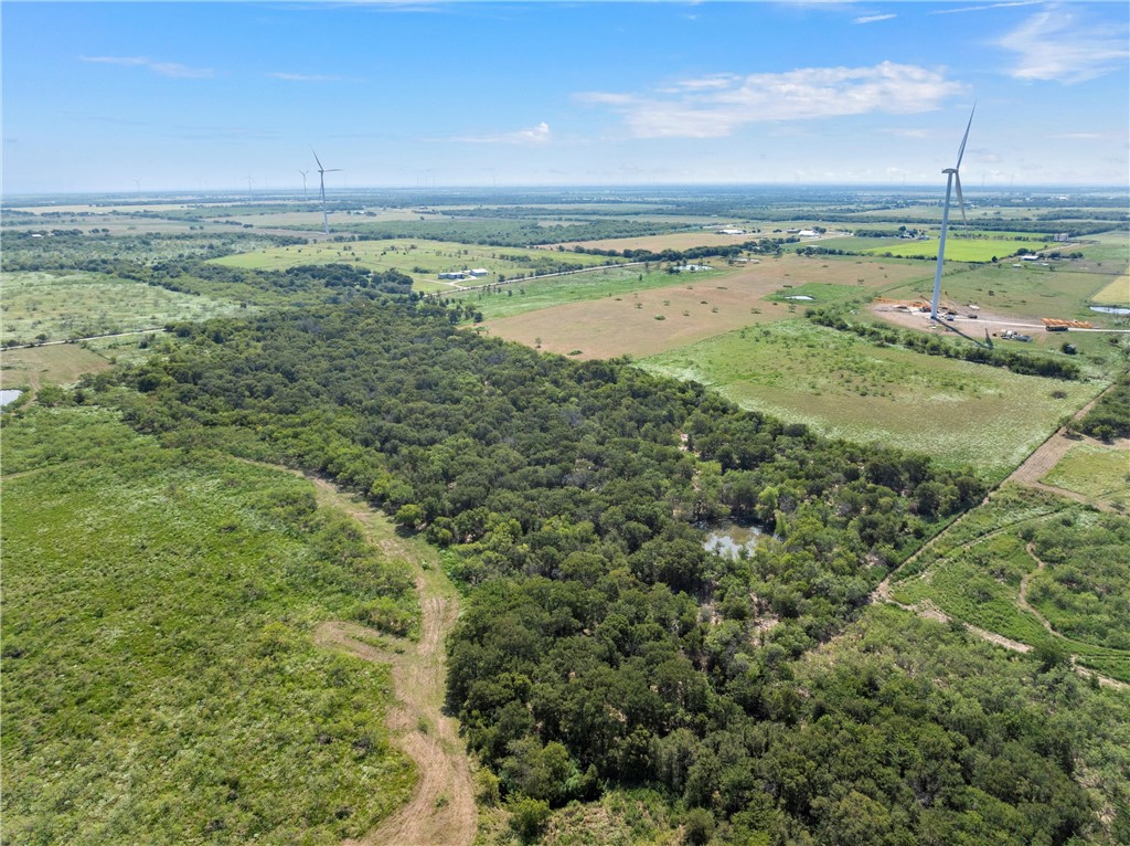 295 Hcr 3240, Mount Calm, Texas image 7