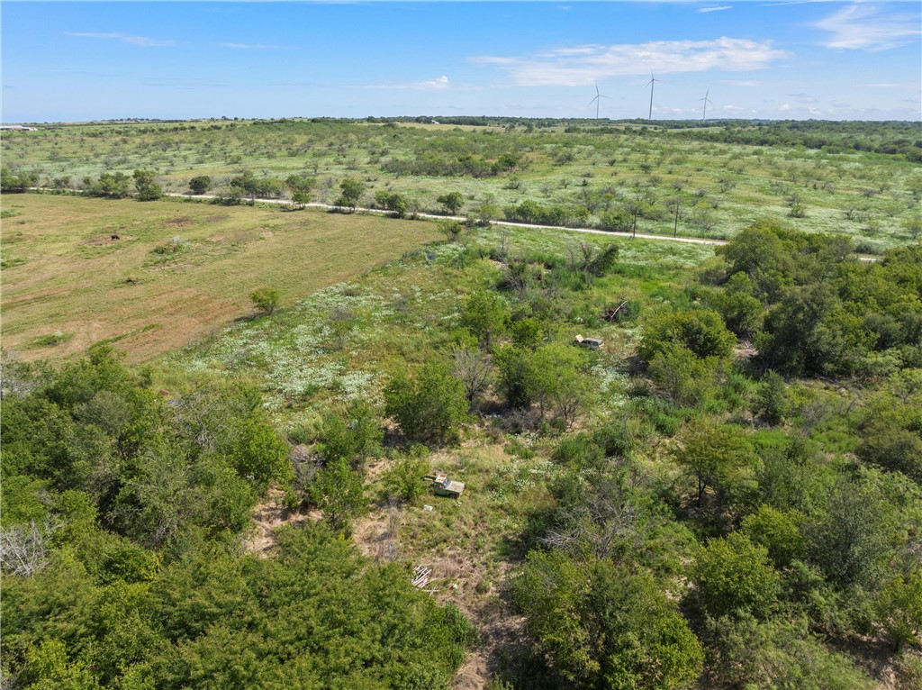 295 Hcr 3240, Mount Calm, Texas image 9