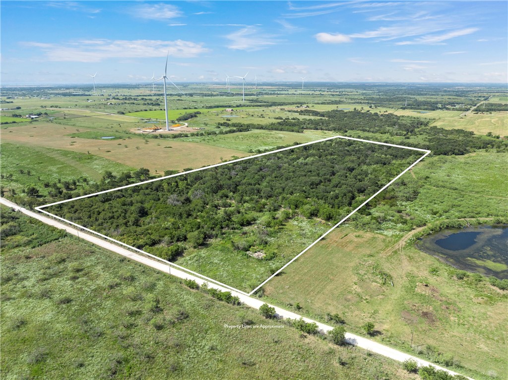 295 Hcr 3240, Mount Calm, Texas image 1