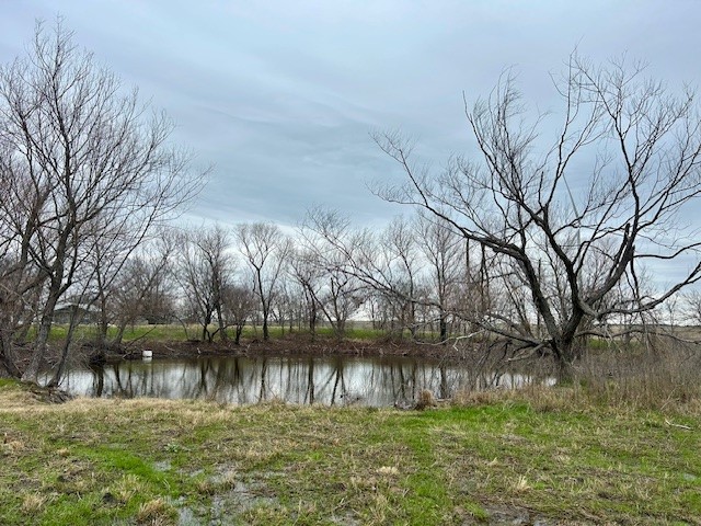 TBD SW Cr 4260, Dawson, Texas image 2