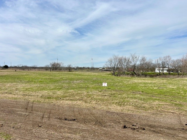 TBD SW Cr 4260, Dawson, Texas image 4
