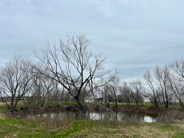 TBD SW Cr 4260, Dawson, Texas image 3