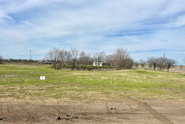 TBD SW Cr 4260, Dawson, Texas image 1