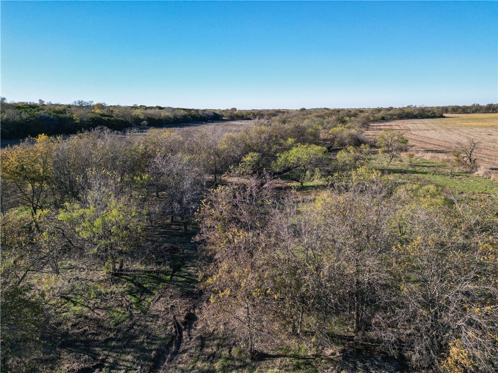 TBD Tract 5 Talbert Ranch Road, China Spring, Texas image 9