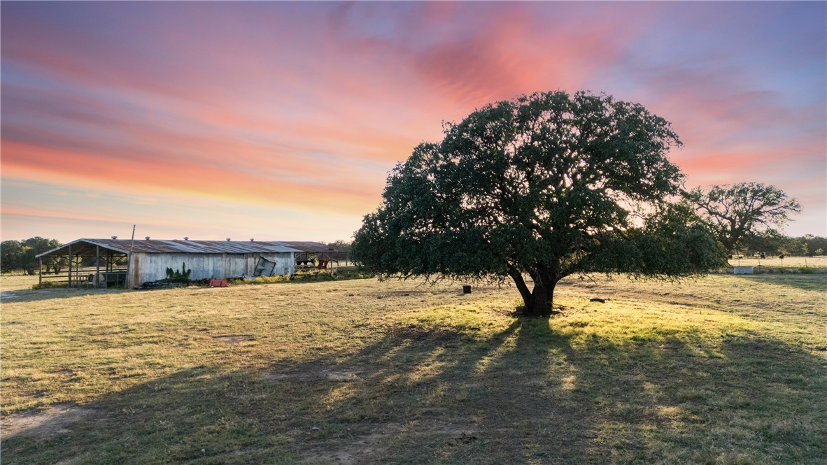 7230 Fm 1702, Gustine, Texas image 4