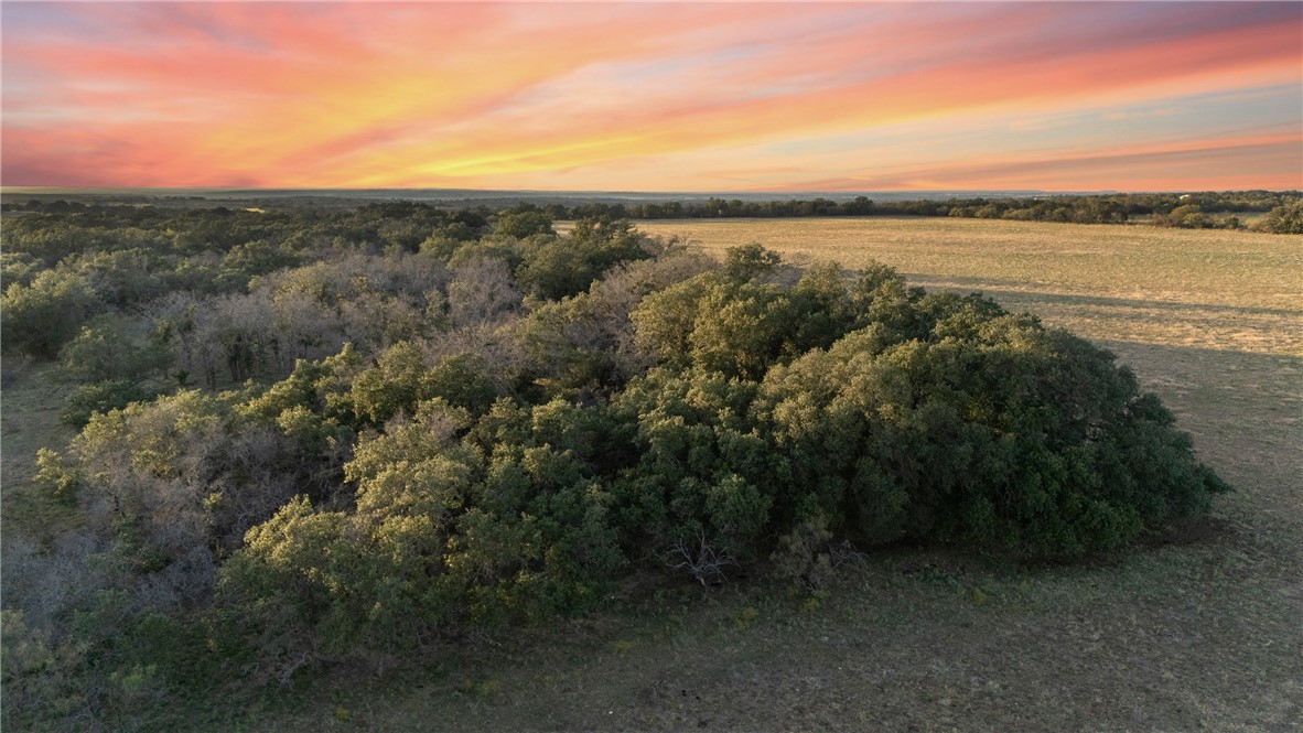 7230 Fm 1702, Gustine, Texas image 39