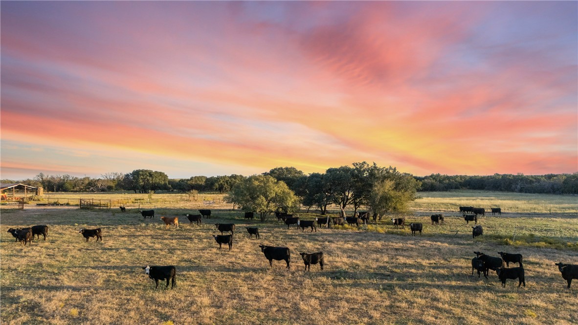 7230 Fm 1702, Gustine, Texas image 44