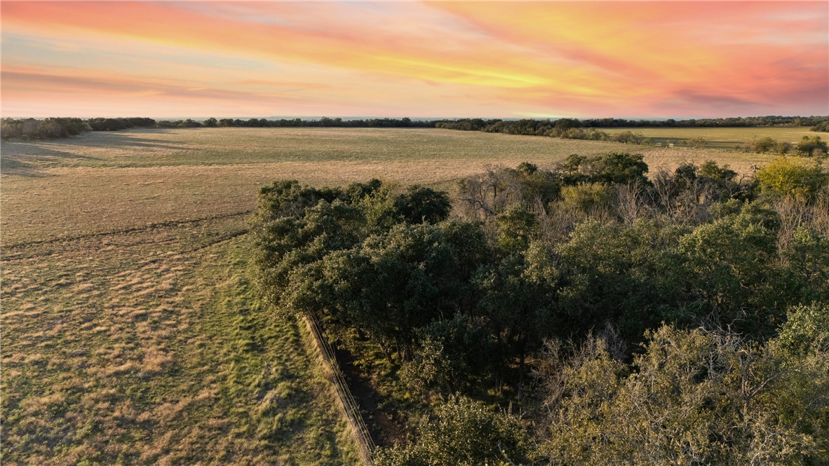 7230 Fm 1702, Gustine, Texas image 41