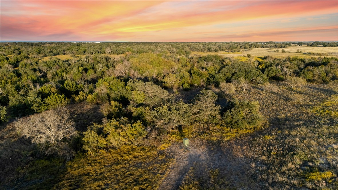 7230 Fm 1702, Gustine, Texas image 50