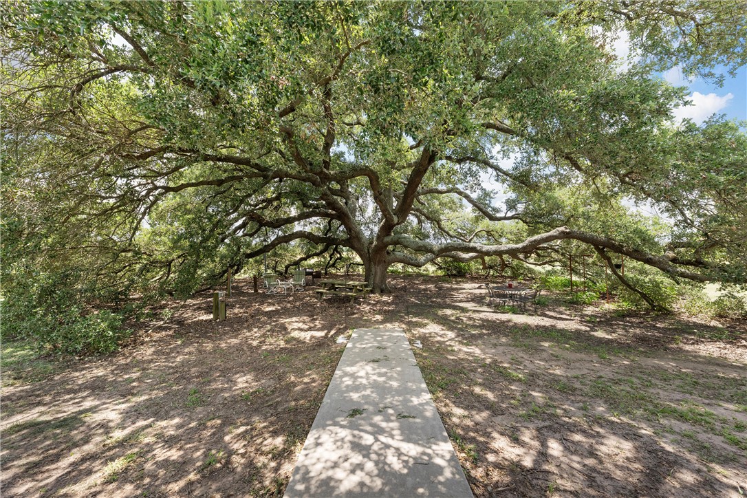 202 Cr 481e, Lott, Texas image 33