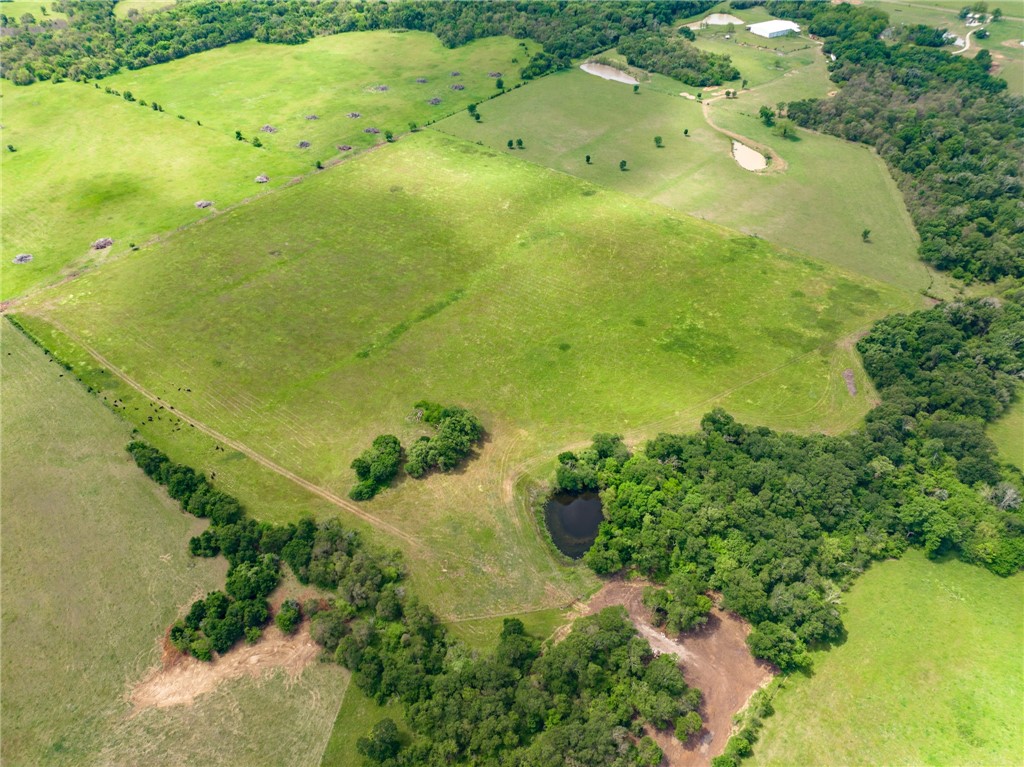 TBD Cr 245 Road, Kosse, Texas image 8