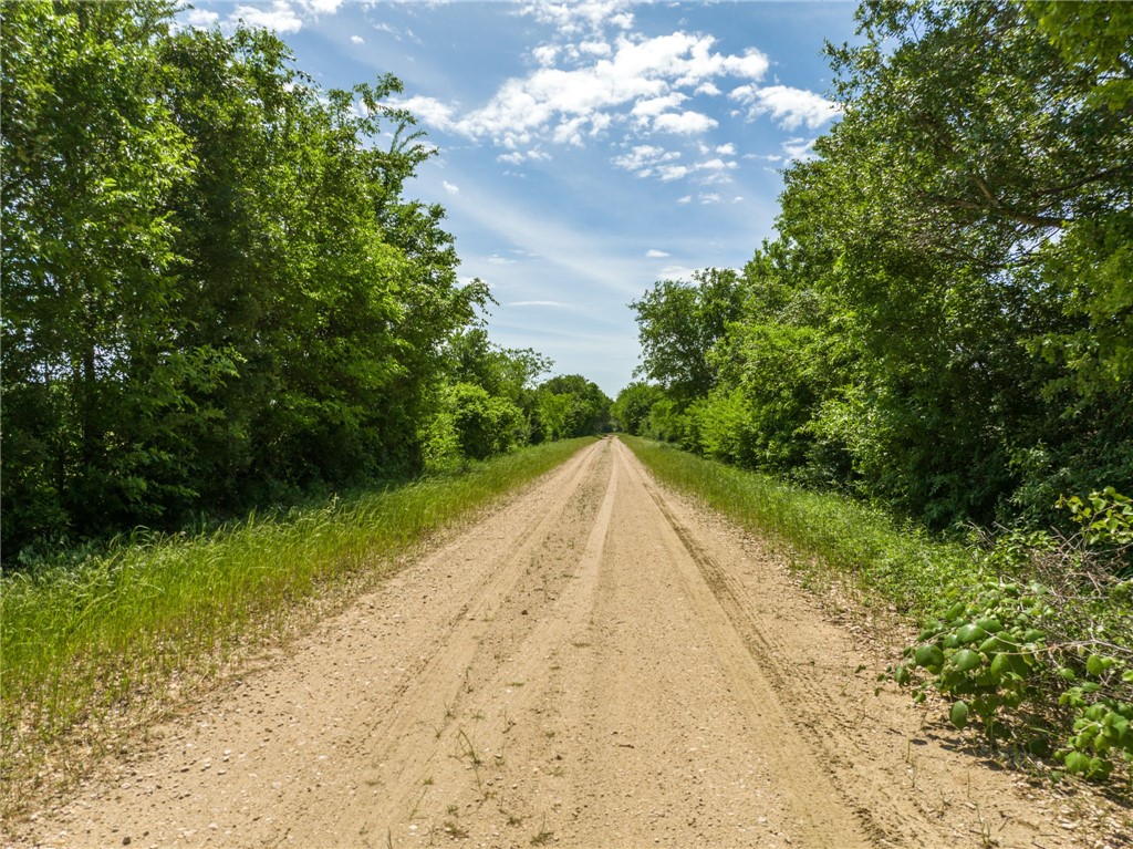 TBD Cr 245 Road, Kosse, Texas image 22