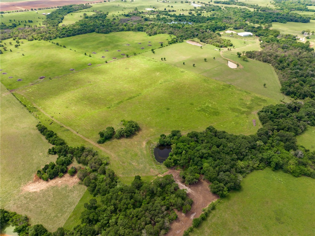 TBD Cr 245 Road, Kosse, Texas image 7