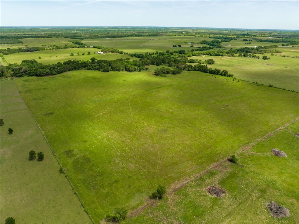 TBD Cr 245 Road, Kosse, Texas image 12