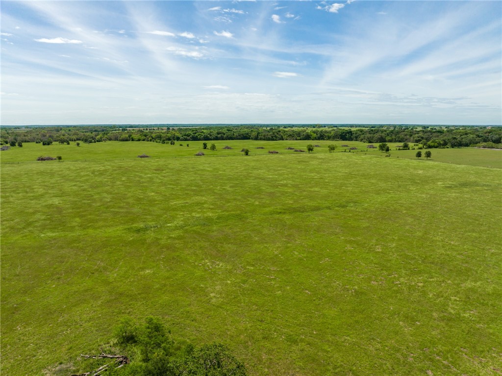 TBD Cr 245 Road, Kosse, Texas image 18