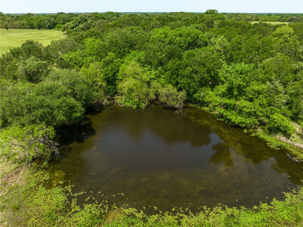 TBD Cr 245 Road, Kosse, Texas image 20