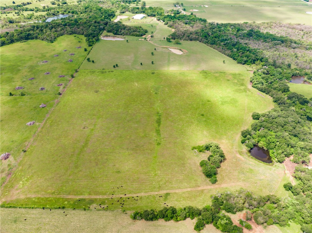 TBD Cr 245 Road, Kosse, Texas image 9