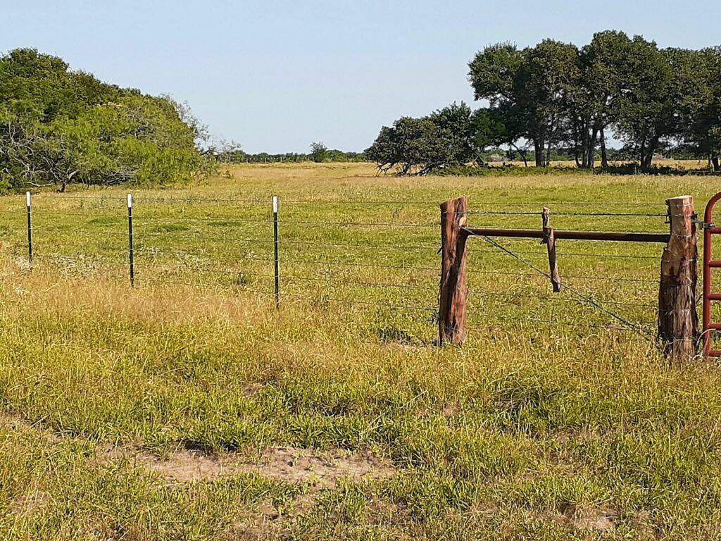 TBD Cr 245 Road, Kosse, Texas image 6