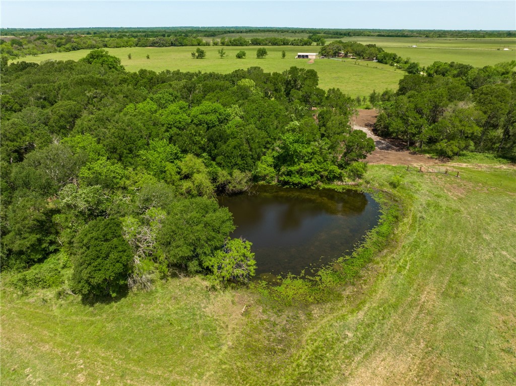 TBD Cr 245 Road, Kosse, Texas image 19