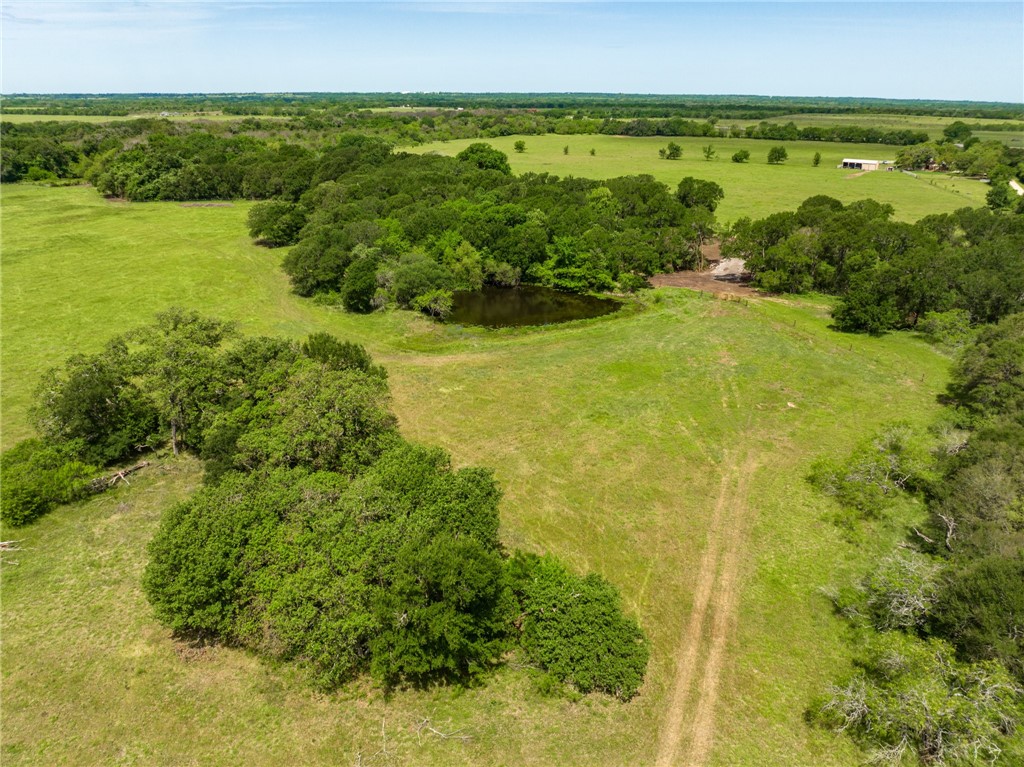 TBD Cr 245 Road, Kosse, Texas image 15