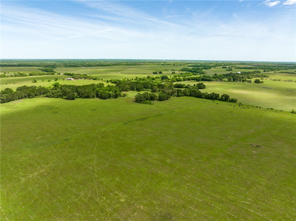 TBD Cr 245 Road, Kosse, Texas image 13