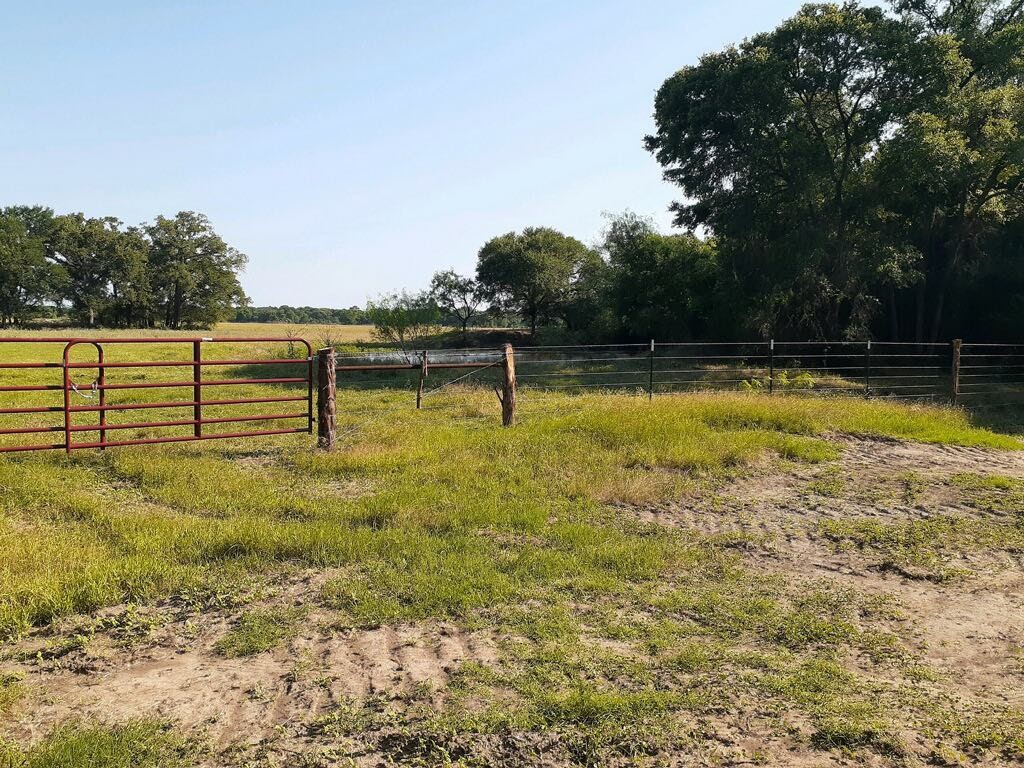 TBD Cr 245 Road, Kosse, Texas image 4