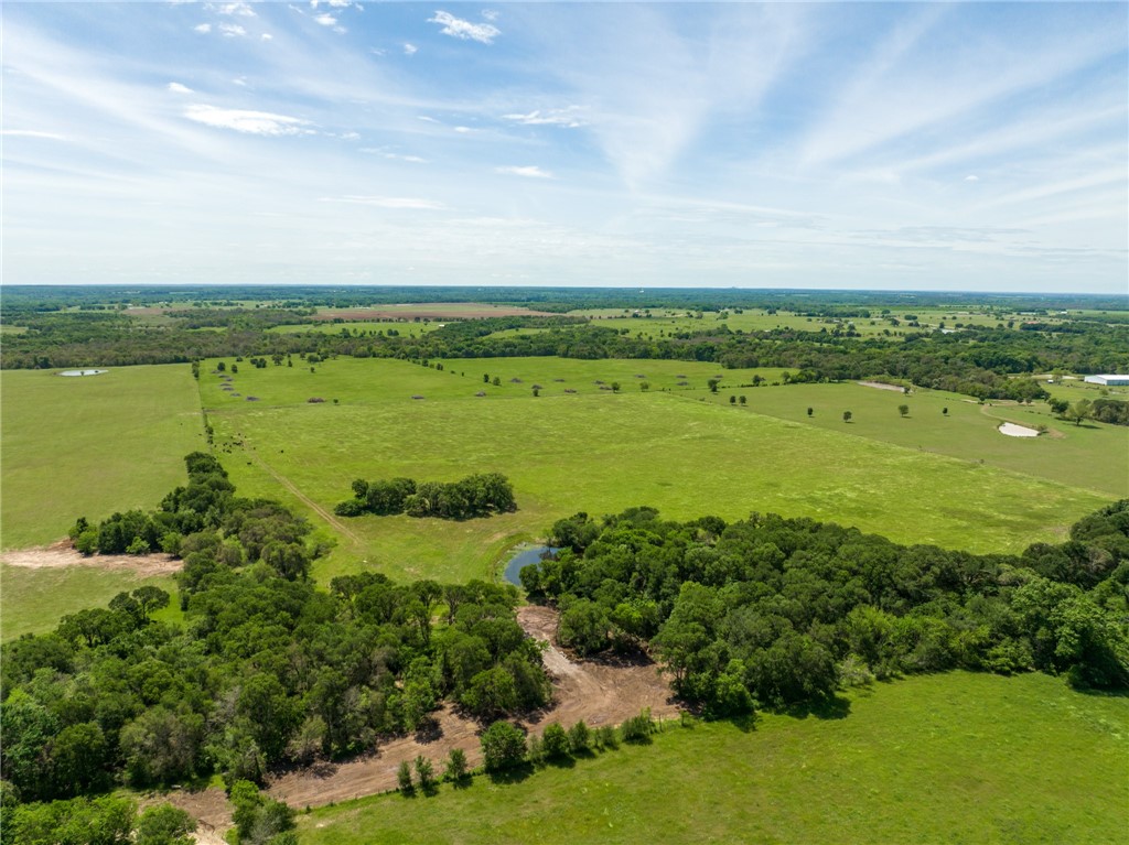 TBD Cr 245 Road, Kosse, Texas image 23