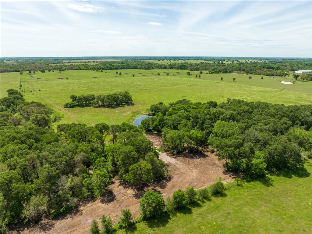 TBD Cr 245 Road, Kosse, Texas image 21