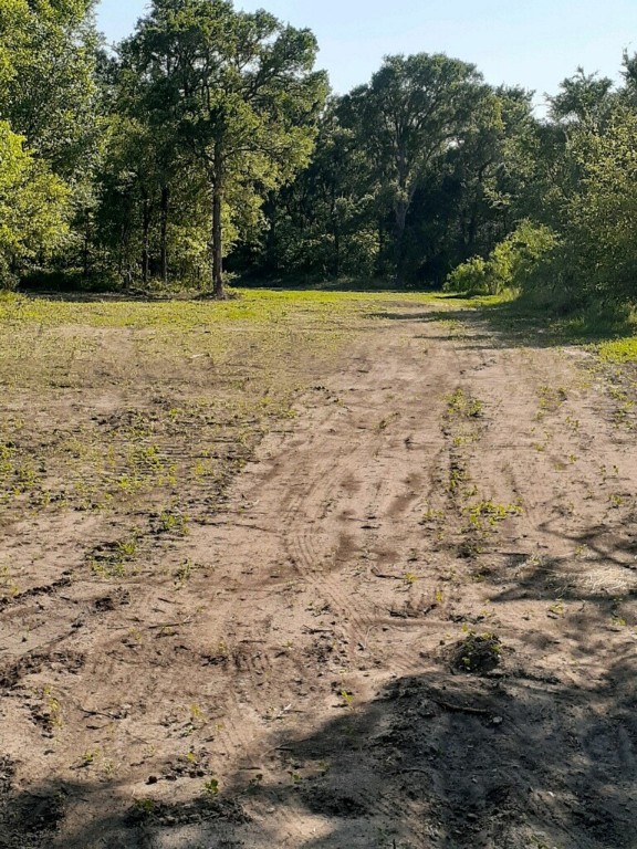 TBD Cr 245 Road, Kosse, Texas image 25