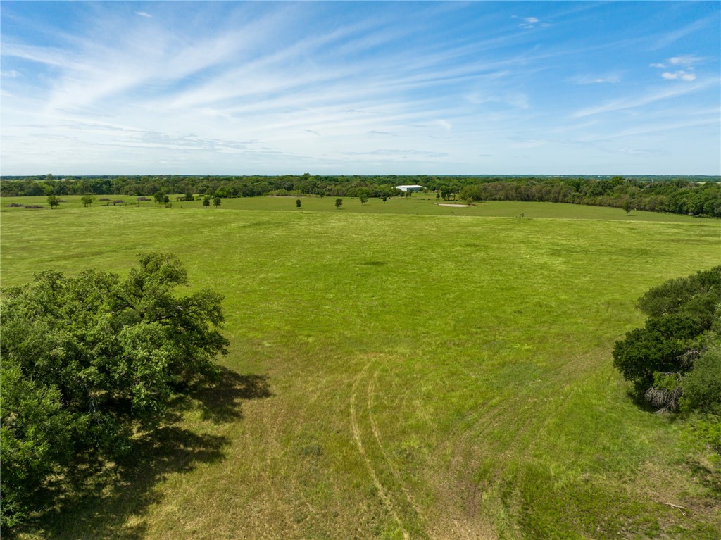 TBD Cr 245 Road, Kosse, Texas image 17