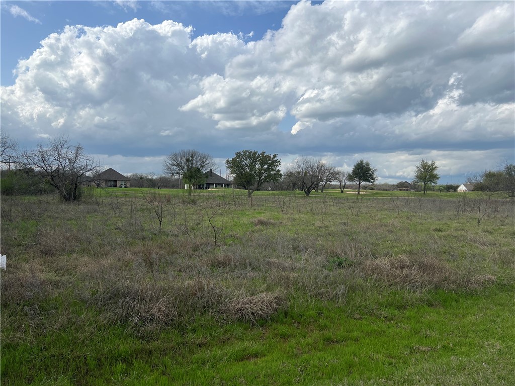 22029 Raintree Court, Whitney, Texas image 10