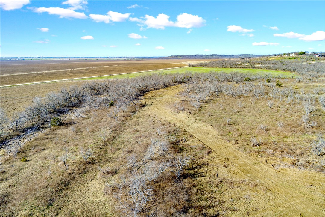 66.5 Ac. Alexander Road, Moody, Texas image 15