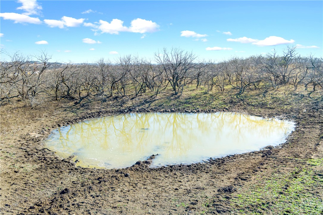 66.5 Ac. Alexander Road, Moody, Texas image 11