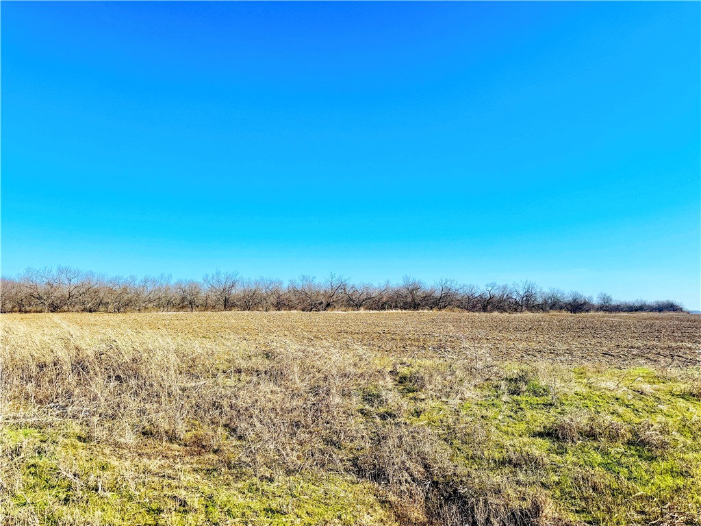 66.5 Ac. Alexander Road, Moody, Texas image 9