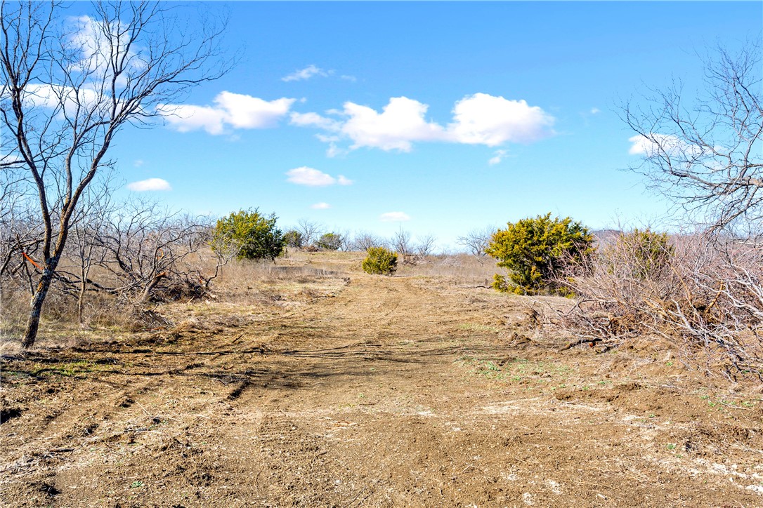 66.5 Ac. Alexander Road, Moody, Texas image 8