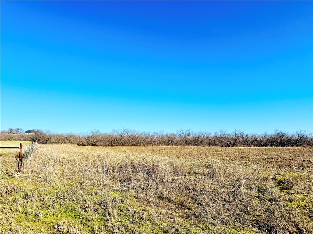 66.5 Ac. Alexander Road, Moody, Texas image 10