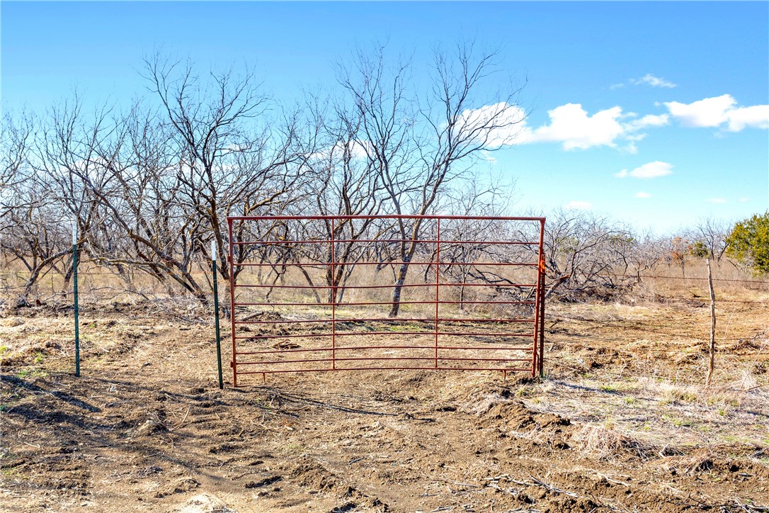 66.5 Ac. Alexander Road, Moody, Texas image 7