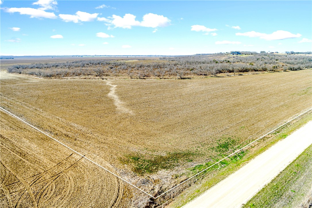 66.5 Ac. Alexander Road, Moody, Texas image 4